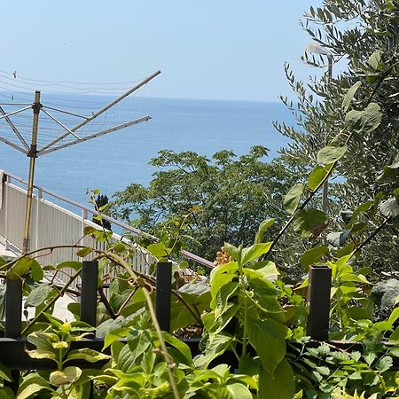 Apartments Hollaj Ulcinj Buitenkant foto